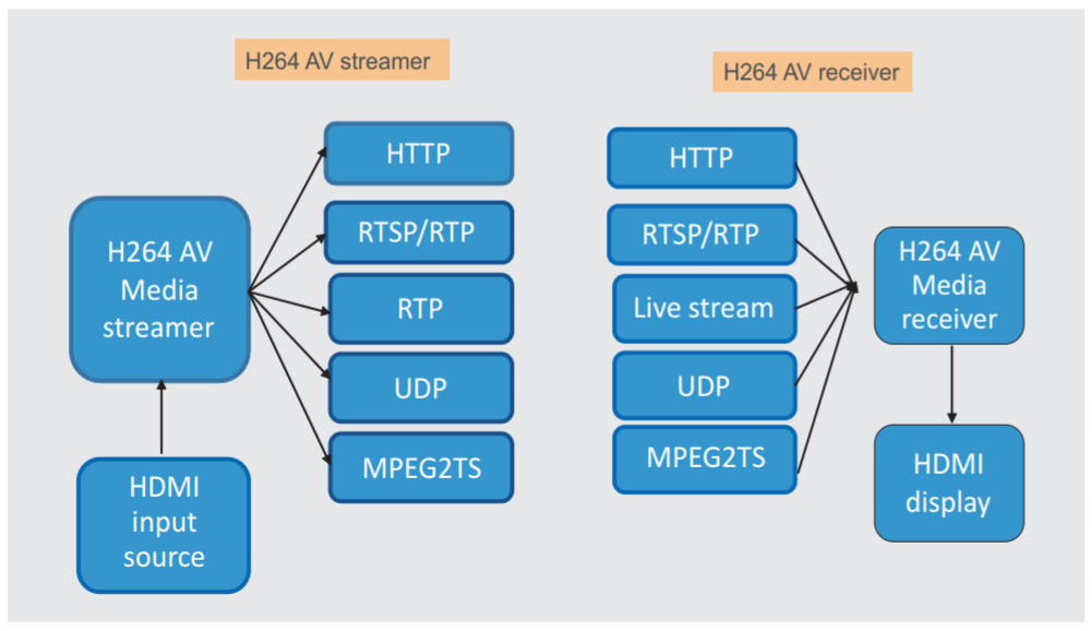 Multimedia Live Streamer, HD Video Streaming, Design Services for Video Streaming, Video Streaming Designs